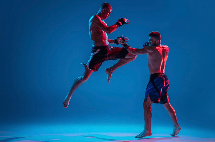 Artes marciales modernas